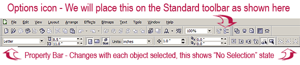 Standard toolbar showing Options icon and Property Bar showing the No Selection state